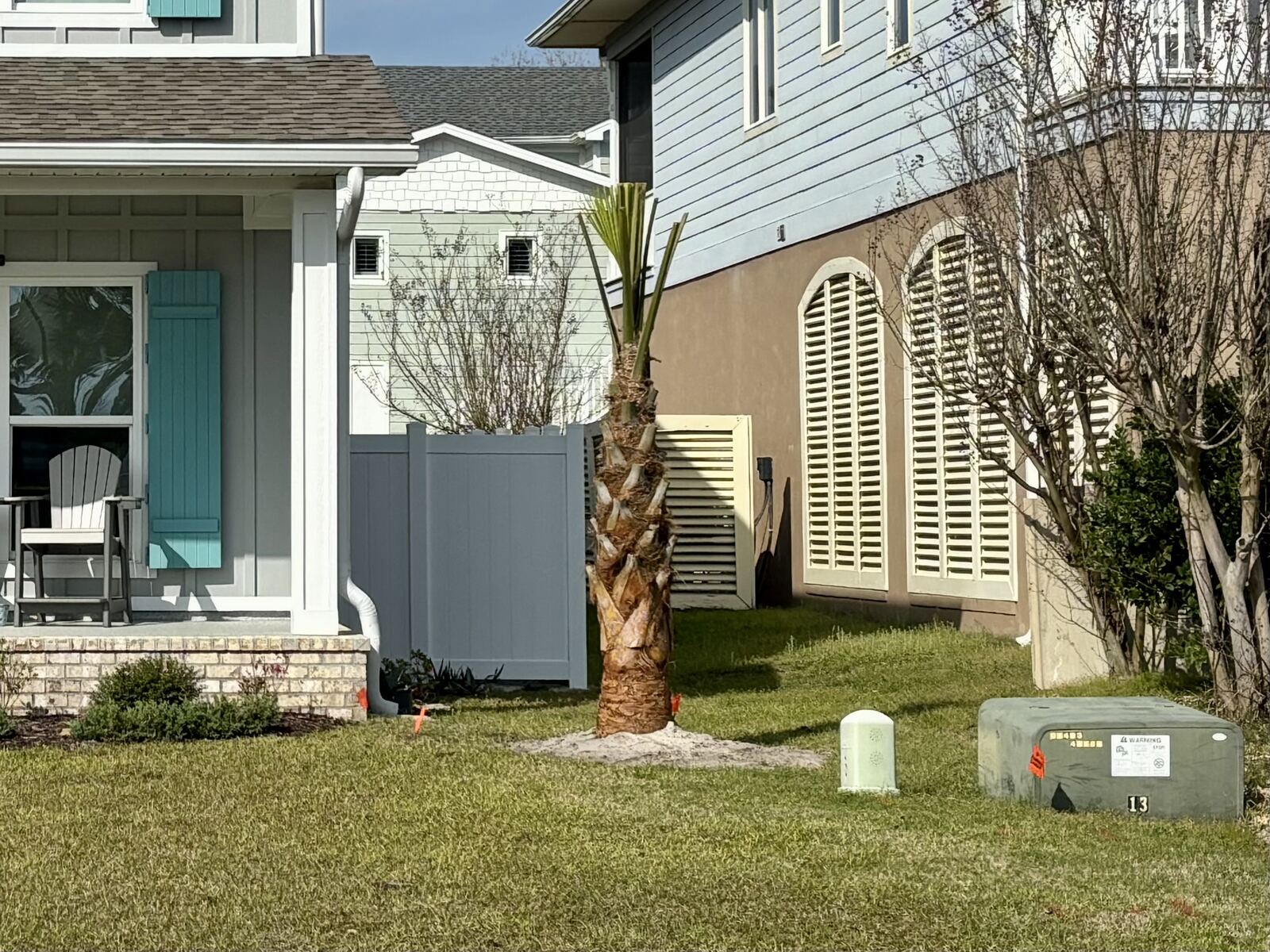 Finished landscaping at a new build with palm and lawn