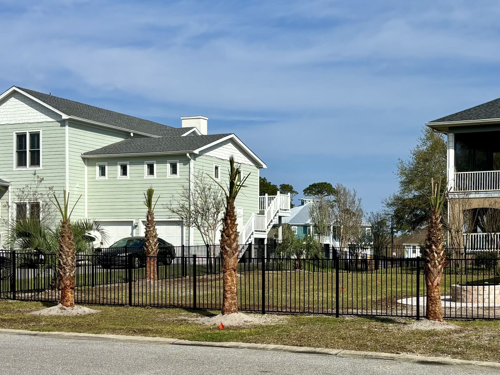Palms planted along a fence line with fresh grade