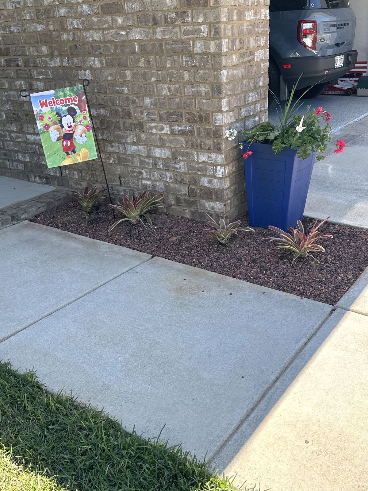 Bed of plants and rock finished along a sidewalk